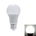 LED Light Bulb